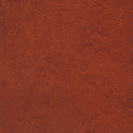 3203